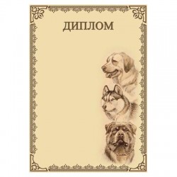 Диплом №7